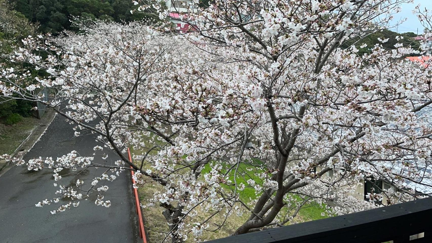 Shirahama Meiji Villa Exterior foto